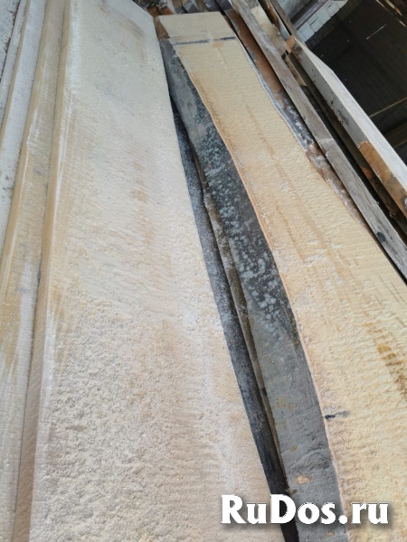 Пиломатериалы, кругляк из дуба, бука, ясеня, клена, акации, карагача, липы изображение 11