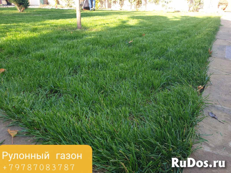 Уход за садом фотка