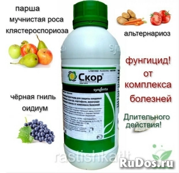 Интернет-магазин «Растишка ТЛТ» - товары для растениеводства изображение 5