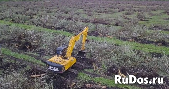 Расчистка территорий от деревьев и пней от 1 Га изображение 10