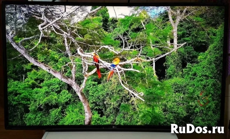 Телевизор LG 43lt340c0zb (для кафе, магазинов) изображение 4