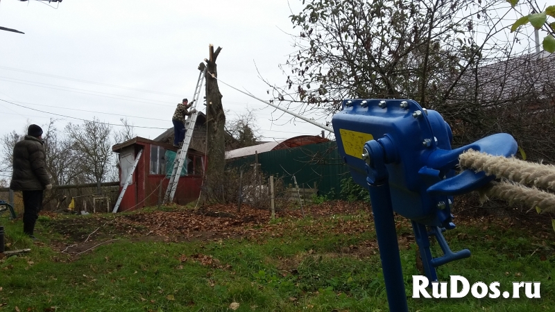 Спил деревьев Кронирование Корчевание изображение 3