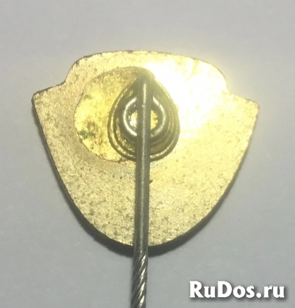 футбол: DRESDEN - футбольный клуб фотка