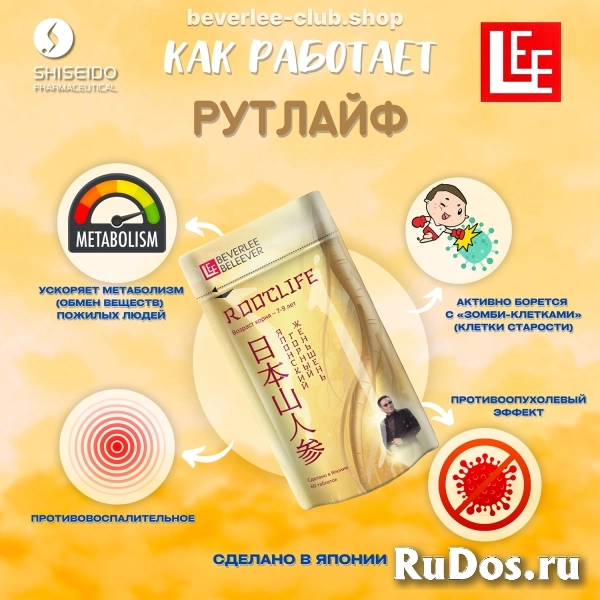 Продукция БАДы BEVERLee BELEEVER - японский путь к здоровью и долголетию изображение 5