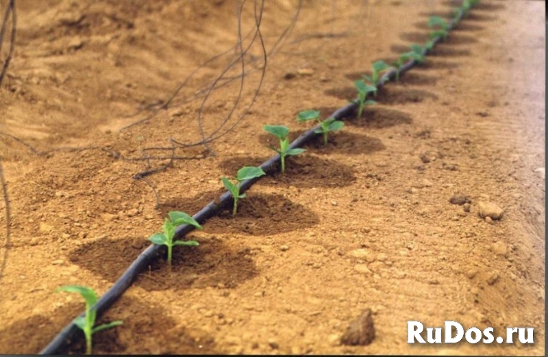 Капельная трубка от производителя изображение 3