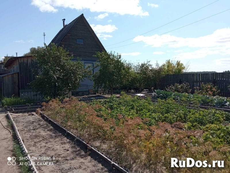 Дом д.Красноборье изображение 5