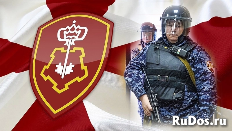 Старший полицейский и полицейский водитель фотка