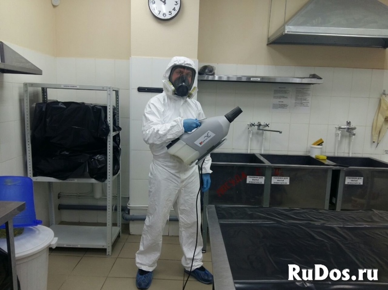 Уничтожение клопов и тараканов СЭС изображение 3