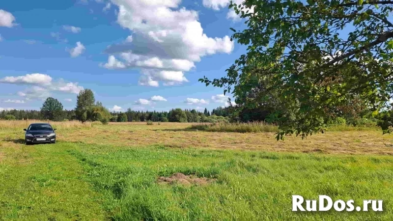 Дом на уютном хуторе у хвойного леса под Псковскими Печорами, 6 Га. земли изображение 4