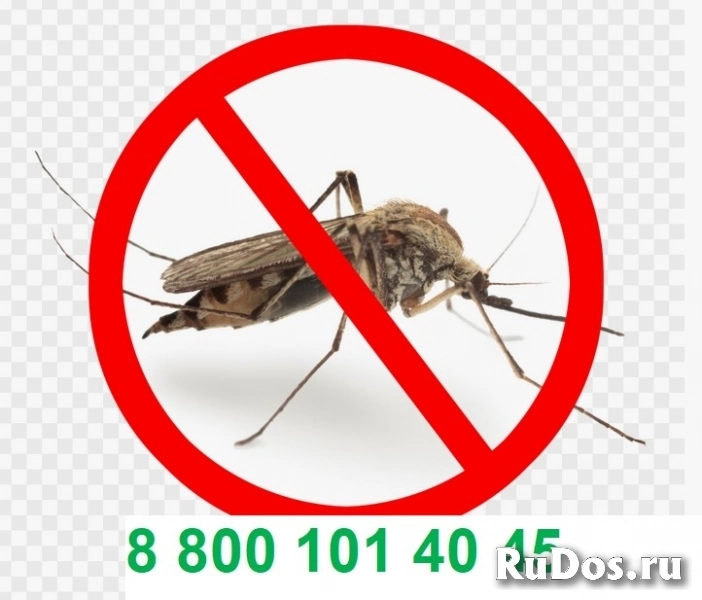 Обработка от комаров . фото