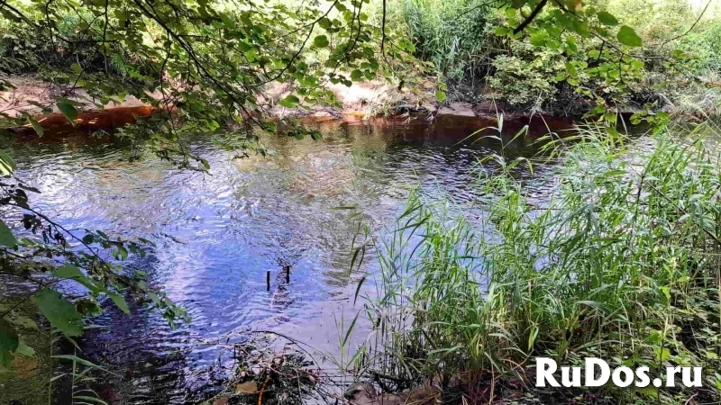 Дачный домик с хорошей баней изображение 7