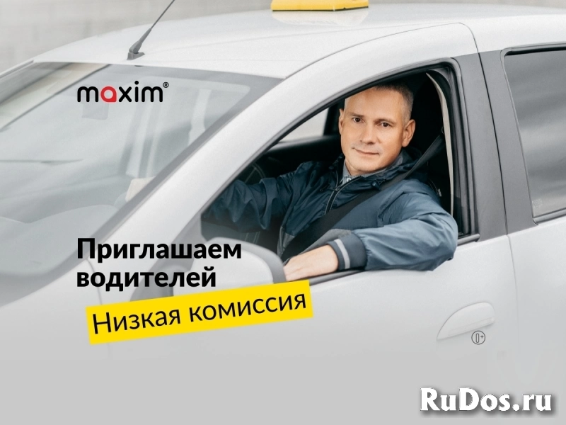 Водитель легкового автомобиля фото