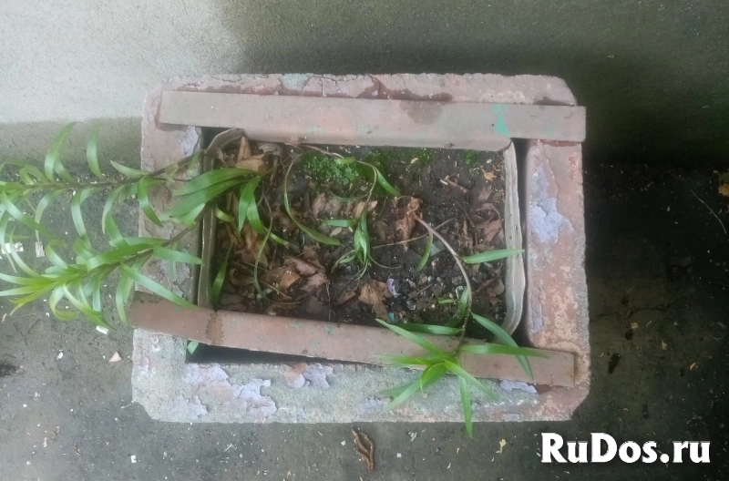 Вазон бетонный уличный прямоугольный изображение 4