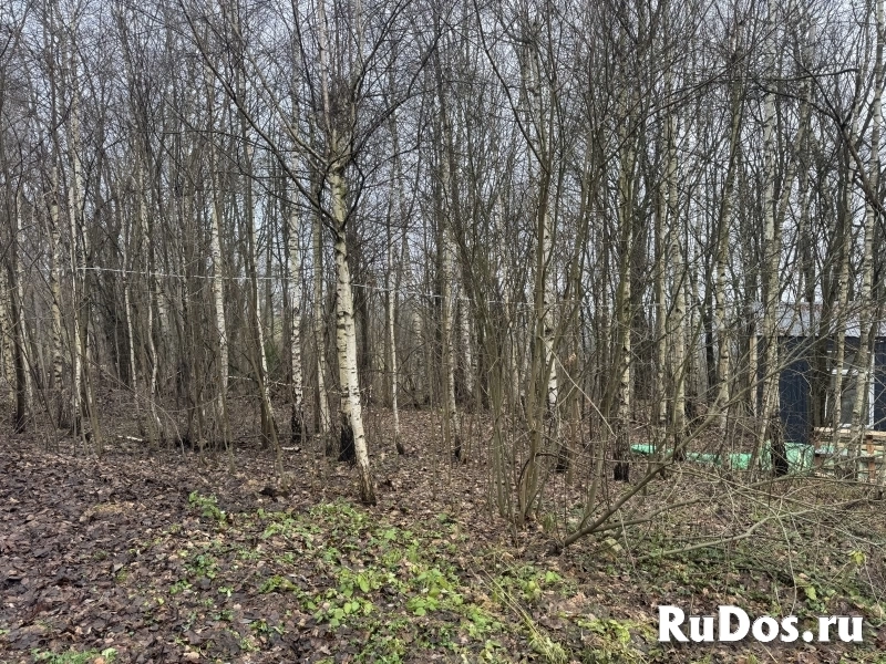 Живописный участок Истра изображение 5