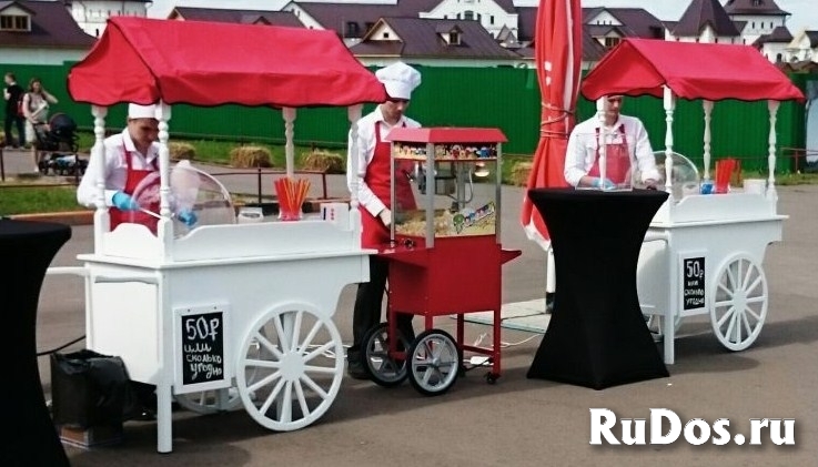 Изготавливаем торговые тележки на заказ изображение 6