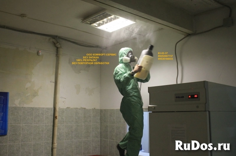 Уничтожение клопов холодным туманом без запаха изображение 5