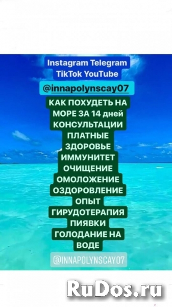 Диета диетолог программа похудения гирудотерапия пиявки голодани изображение 3