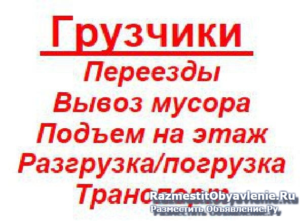 Услуги грузчиков, вывоз мусора, переезды фотка