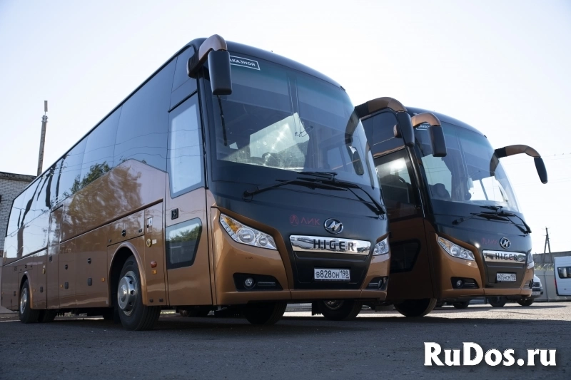 Кингисепп фото