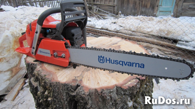 Спил деревьев Кронирование Корчевание изображение 6