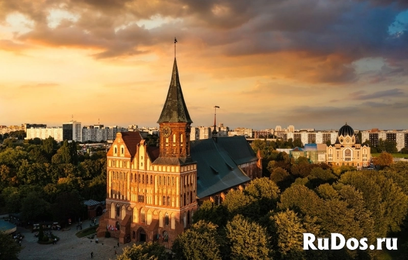 Индивидуальные экскурсии по Калининградской области фотка