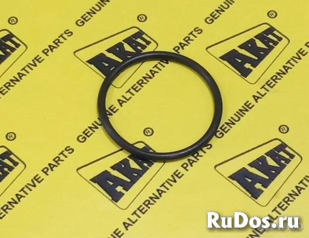 Уплотнение CARRARO 28532 фото