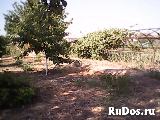 Жилой двухэтажный дом,кухня,флигель и другие хоз.постройки на 30 сотках. изображение 10