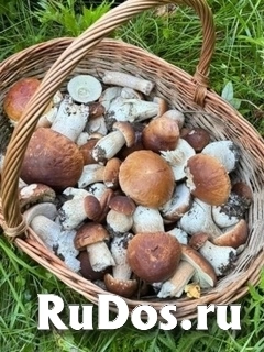 Дом изображение 10