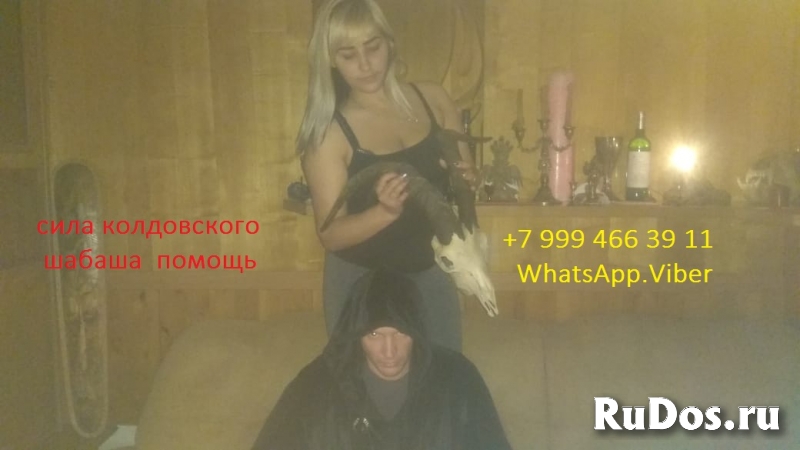 Удивительные способности и знания у Александра Богдановича Литвин изображение 6