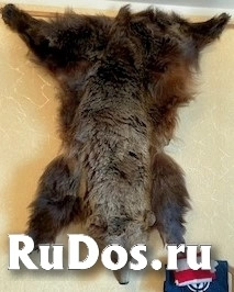 , частное объявление фотка