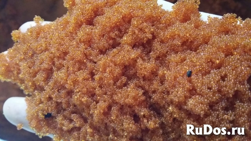 Куплю катионит бу, анионит, Флокулянты и активированные угли фото