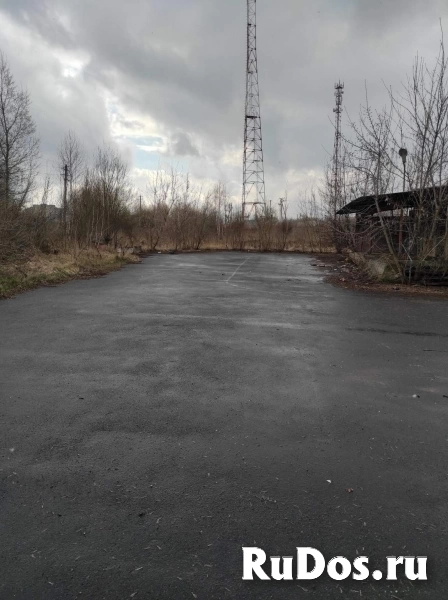 Продам коммерческую недвижимость 55 м2 изображение 4