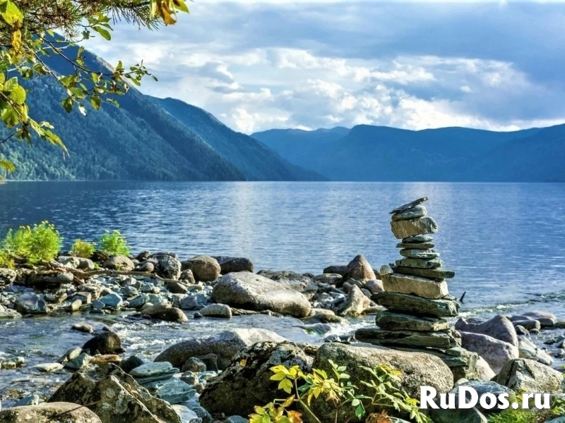 Продаются участки под турбизнес на Алтае возле Телецкого озера фотка