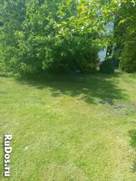 Продам ухоженный участок правильной формы изображение 5