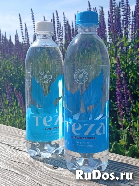 Вода «ТЕЗА» оптом — природная родниковая 0,5 л и 1,5 л (газ/негаз) изображение 5
