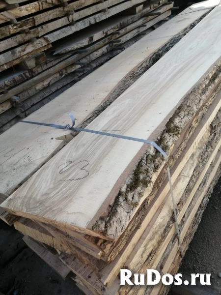 Ясень пиломатериалы от производителя оптом. изображение 5