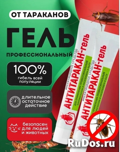 Средство от тараканов Антитаракан гель профессиональный 35 гр фотка