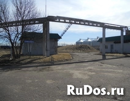 Продам коммерческую недвижимость 1042.9 м2 изображение 6