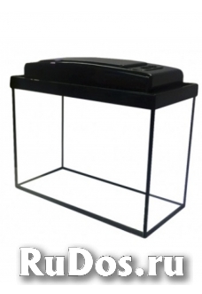 Магазин аквариумов и террариумов изображение 5