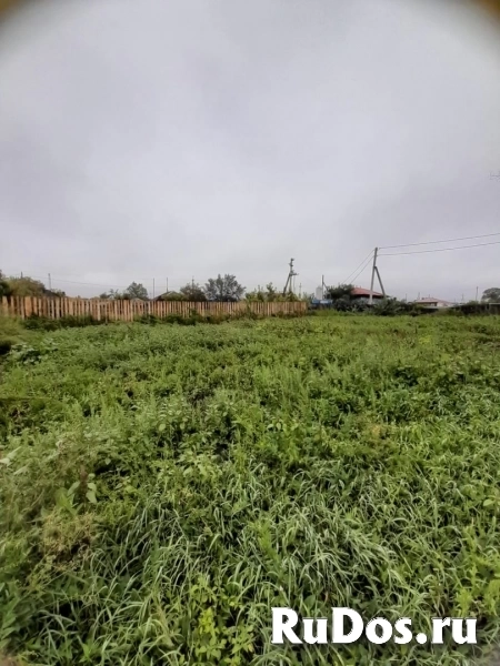 Дом с.Звериноголовское изображение 8