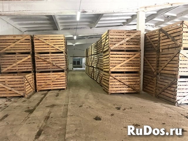 Продажа 4 зданий 6640 м2 на 2,2 га земли изображение 3