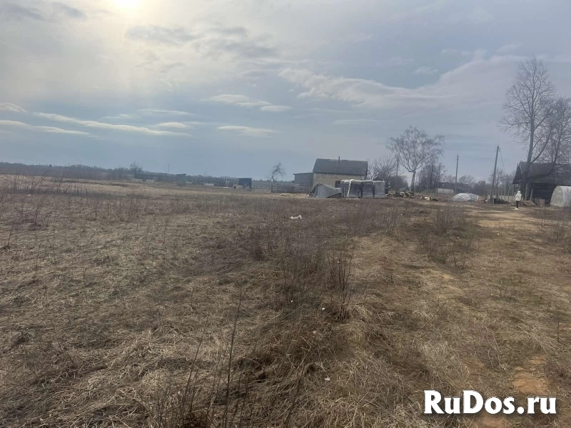 Продается ЛПХ, земля засажена голубикой и туями изображение 3