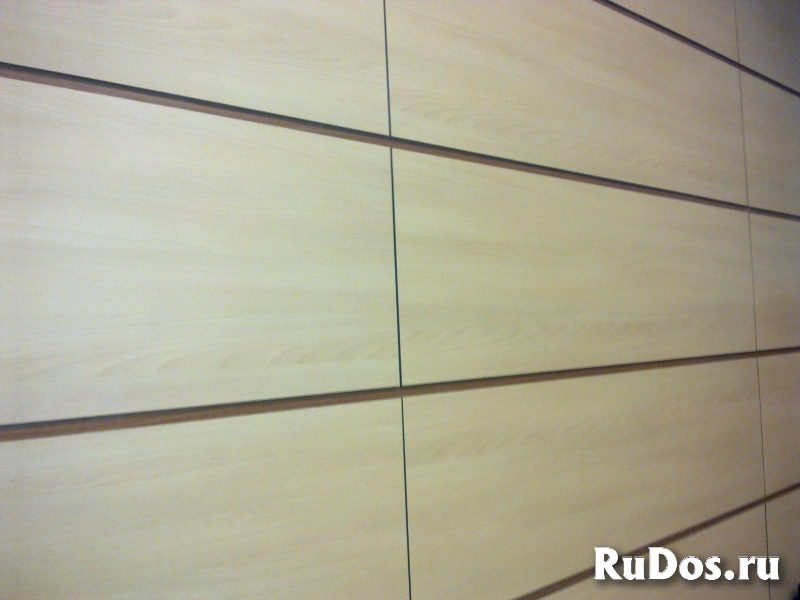 Листовой крупноформатный пластик ДБСП для коммерческих интерьеров изображение 4