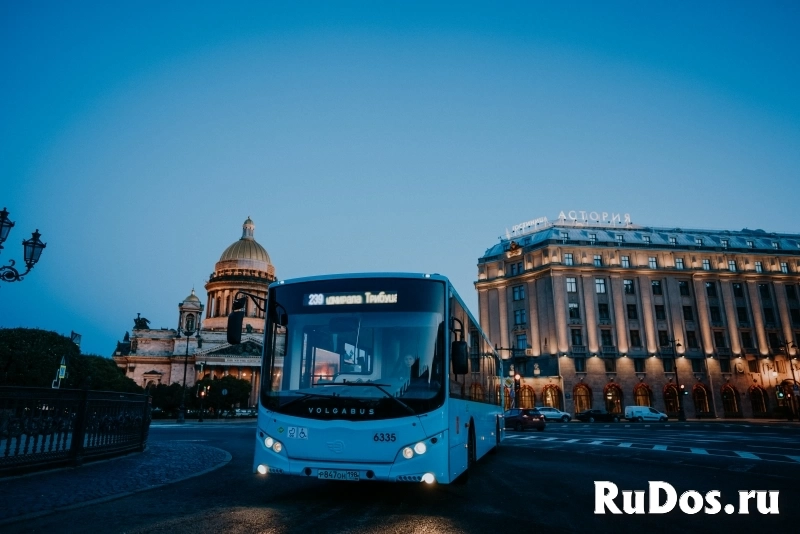 Водитель автобуса (ученик водителя) фото
