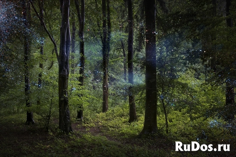 Колдовство в семейных вопросах во благо. Замок на верность в Ростове-на-Дону. Бокор вуду фото