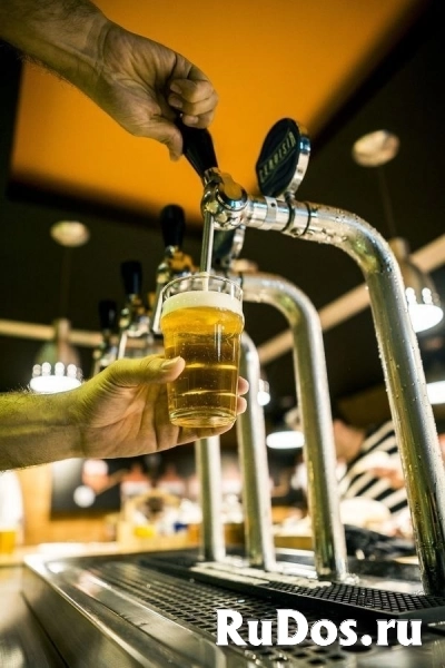 Продается действующий, полностью выстроенный B2B-бизнес в сфере оптовой продажи крафтового пива. изображение 4