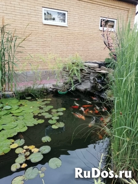 Продам коттедж 369 м2 изображение 8