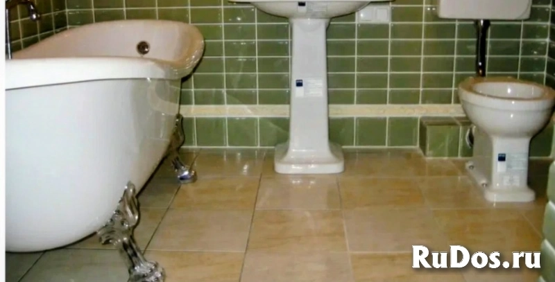 Орел изображение 5