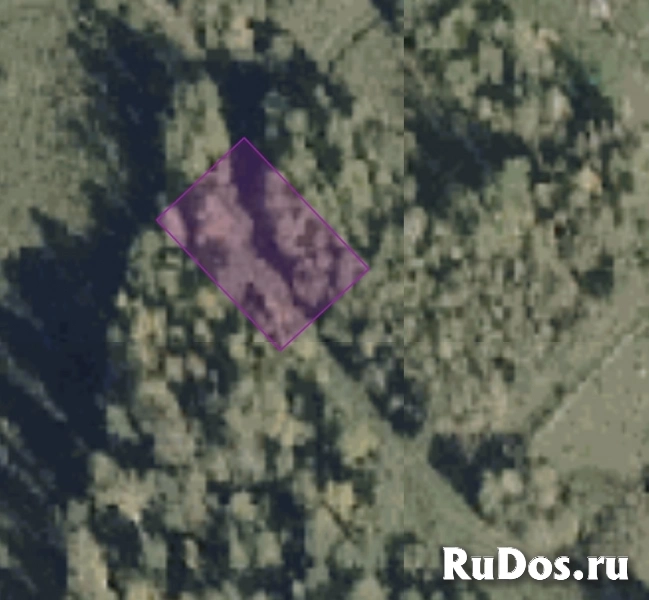 Участок, 6 сот., ДНТ "Осень", уч. 70а изображение 6