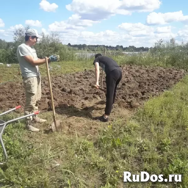 Перекапывание земли; Перекопка огорода: Недорого! Воронеж фотка